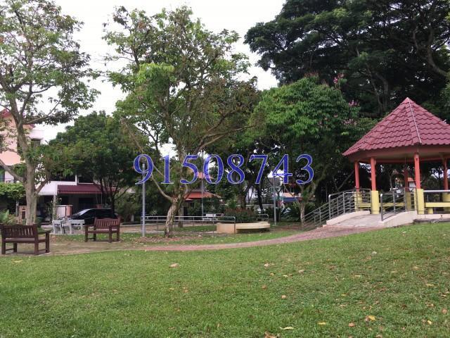 Hoover Park (D21), Terrace #151005762